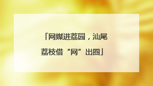 网媒进荔园，汕尾荔枝借“网”出圈
