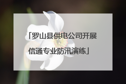 罗山县供电公司开展信通专业防汛演练