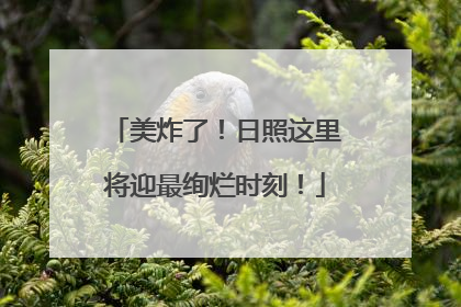 美炸了！日照这里将迎最绚烂时刻！