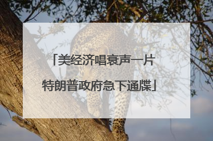 美经济唱衰声一片 特朗普政府急下通牒