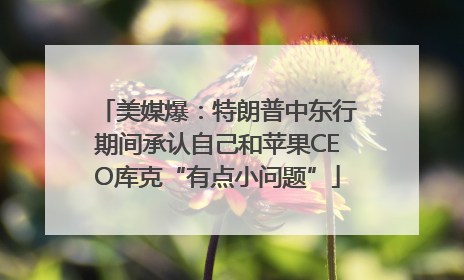 美媒爆：特朗普中东行期间承认自己和苹果CEO库克“有点小问题”