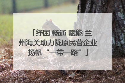 纾困 畅通 赋能 兰州海关助力陇原民营企业扬帆“一带一路”