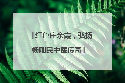 红色庄余霞，弘扬杨则民中医传奇