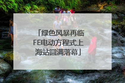 绿色风暴再临 FE电动方程式上海站圆满落幕