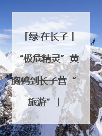 绿·在长子丨“极危精灵”黄胸鹀到长子营“旅游”