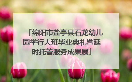 绵阳市盐亭县石龙幼儿园举行大班毕业典礼暨延时托管服务成果展