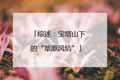 综述：宝塔山下的“草原风情”