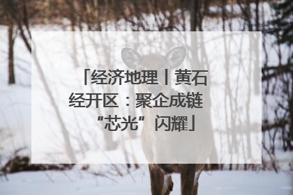 经济地理丨黄石经开区：聚企成链“芯光”闪耀