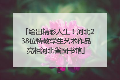 绘出精彩人生！河北238位特教学生艺术作品亮相河北省图书馆