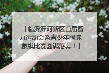 临沂沂河新区首届智力运动会暨青少年国际象棋比赛圆满落幕！