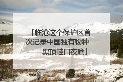 临沧这个保护区首次记录中国独有物种——黑顶蛙口夜鹰