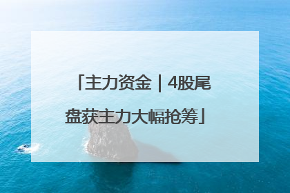 主力资金｜4股尾盘获主力大幅抢筹