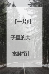 一片叶子里的共富脉络
