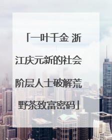 一叶千金 浙江庆元新的社会阶层人士破解荒野茶致富密码