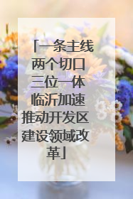 一条主线 两个切口 三位一体 临沂加速推动开发区建设领域改革