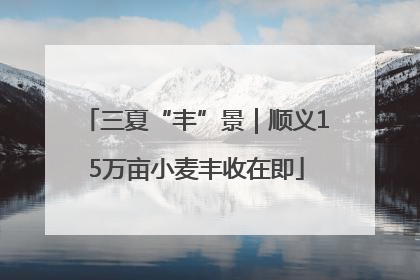 三夏“丰”景｜顺义15万亩小麦丰收在即