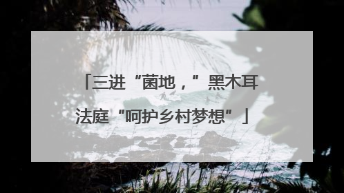 三进“菌地，”黑木耳法庭“呵护乡村梦想”