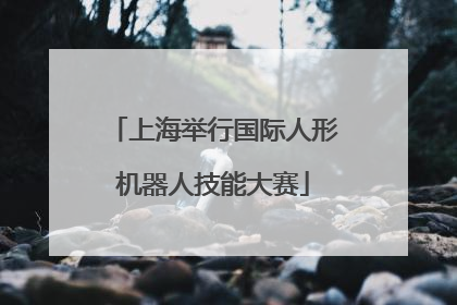 上海举行国际人形机器人技能大赛