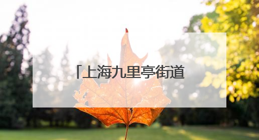 上海九里亭街道落成新九里亭，“老九里亭”历经多次重建搬迁