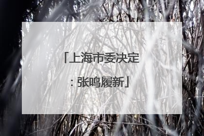 上海市委决定：张鸣履新