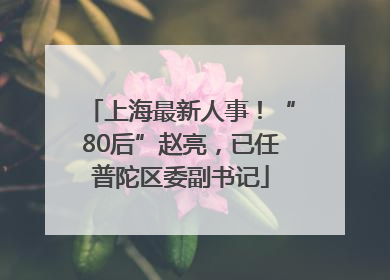 上海最新人事！“80后”赵亮，已任普陀区委副书记