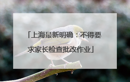 上海最新明确：不得要求家长检查批改作业