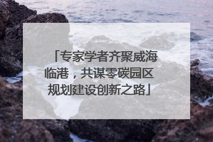 专家学者齐聚威海临港，共谋零碳园区规划建设创新之路