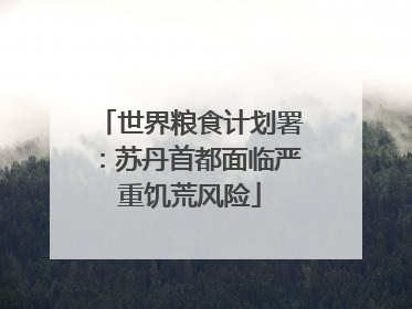世界粮食计划署：苏丹首都面临严重饥荒风险