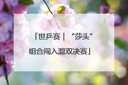 世乒赛｜“莎头”组合闯入混双决赛