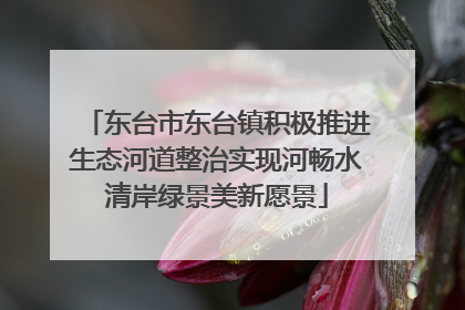 东台市东台镇积极推进生态河道整治实现河畅水清岸绿景美新愿景