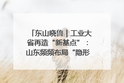 东山晓鲁｜工业大省再造“新基点”：山东频频布局“隐形冠军”背后