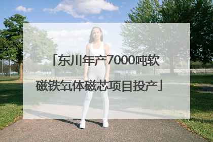 东川年产7000吨软磁铁氧体磁芯项目投产