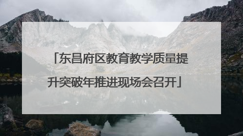 东昌府区教育教学质量提升突破年推进现场会召开