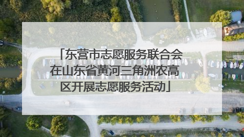 东营市志愿服务联合会在山东省黄河三角洲农高区开展志愿服务活动