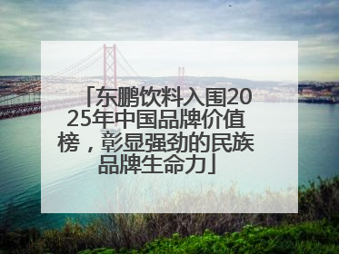 东鹏饮料入围2025年中国品牌价值榜，彰显强劲的民族品牌生命力