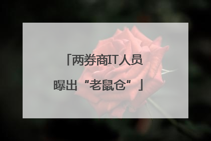 两券商IT人员曝出“老鼠仓”