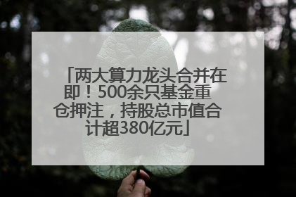 两大算力龙头合并在即！500余只基金重仓押注，持股总市值合计超380亿元