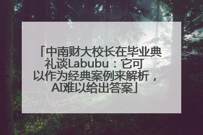 中南财大校长在毕业典礼谈Labubu：它可以作为经典案例来解析，AI难以给出答案