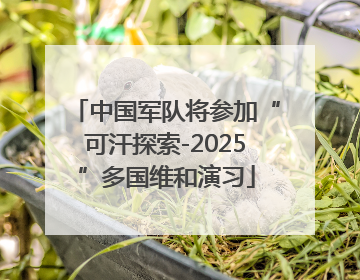 中国军队将参加“可汗探索-2025”多国维和演习