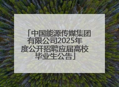 中国能源传媒集团有限公司2025年度公开招聘应届高校毕业生公告