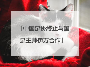 中国足协终止与国足主帅伊万合作