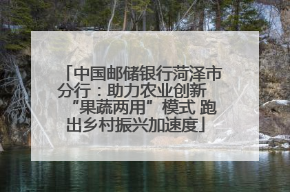 中国邮储银行菏泽市分行：助力农业创新 “果蔬两用”模式 跑出乡村振兴加速度