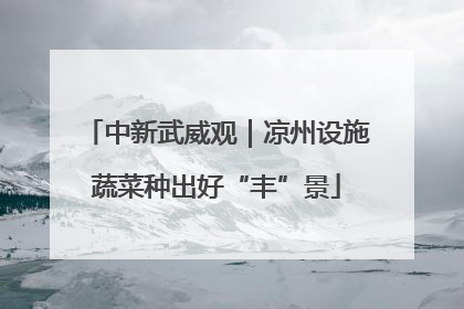 中新武威观｜凉州设施蔬菜种出好“丰”景