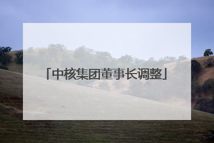 中核集团董事长调整
