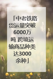中老铁路货运量突破6000万吨 跨境运输商品种类达3000余种