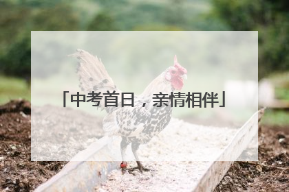 中考首日，亲情相伴