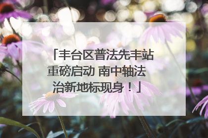 丰台区普法先丰站重磅启动 南中轴法治新地标现身！
