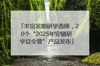 丰富暑期研学选择，20个“2025年安徽研学夏令营”产品发布