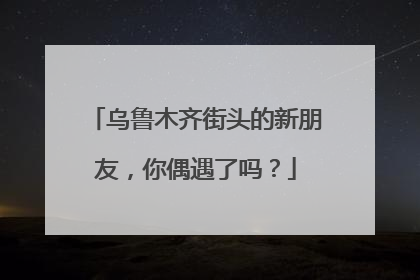 乌鲁木齐街头的新朋友，你偶遇了吗？