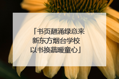 书页翻涌绿意来 新东方烟台学校以书换蔬暖童心